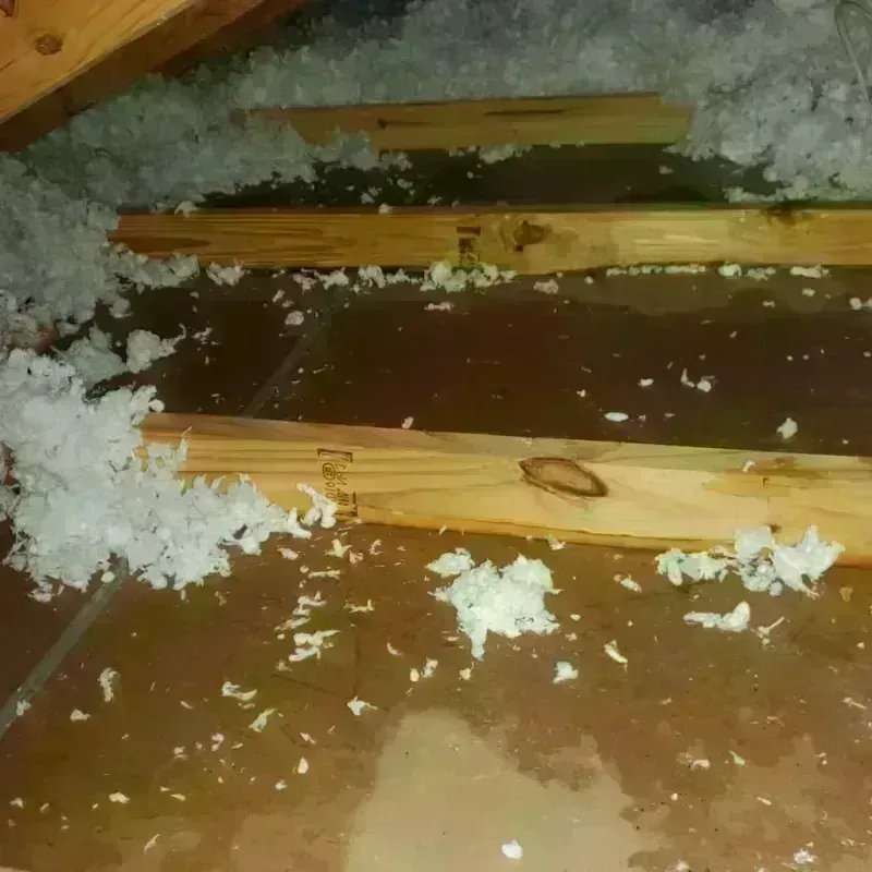 Attic Water Damage in Iva, SC