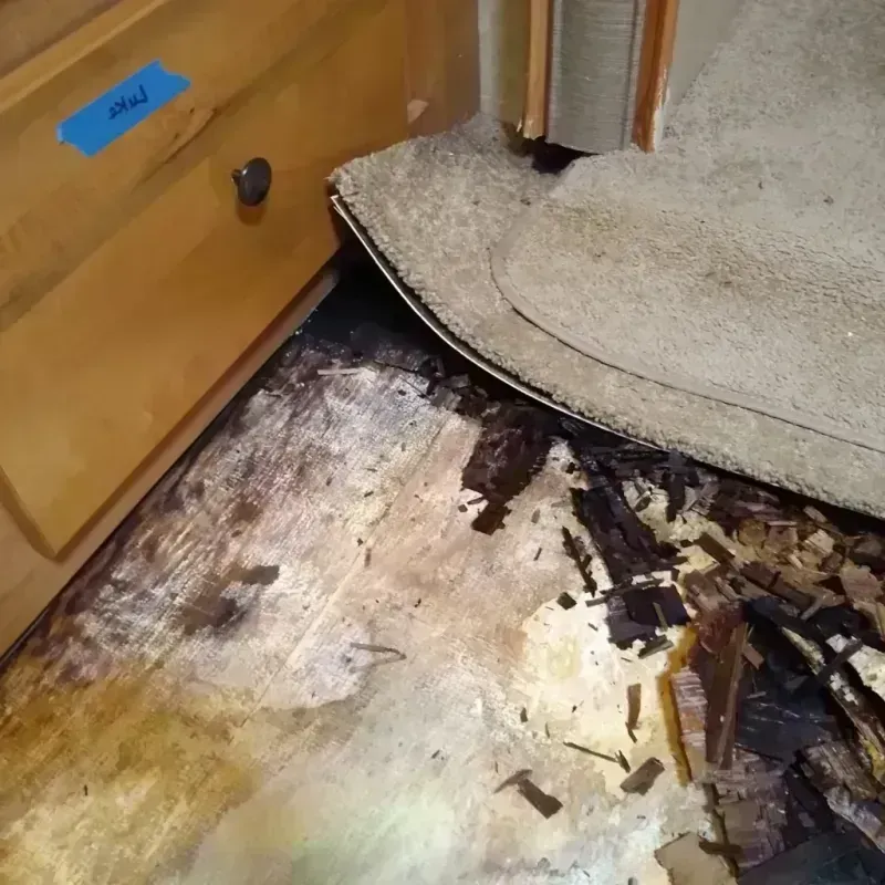 Wood Floor Water Damage in Iva, SC